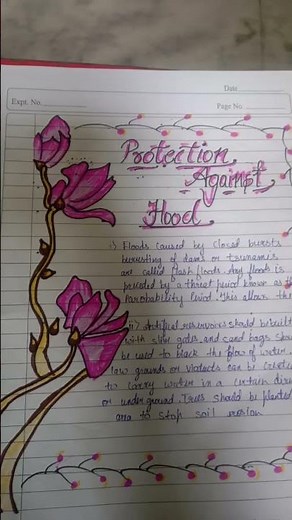 disaster management project file