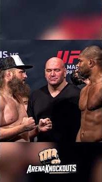 Roy Nelson vs Alistair Overeem