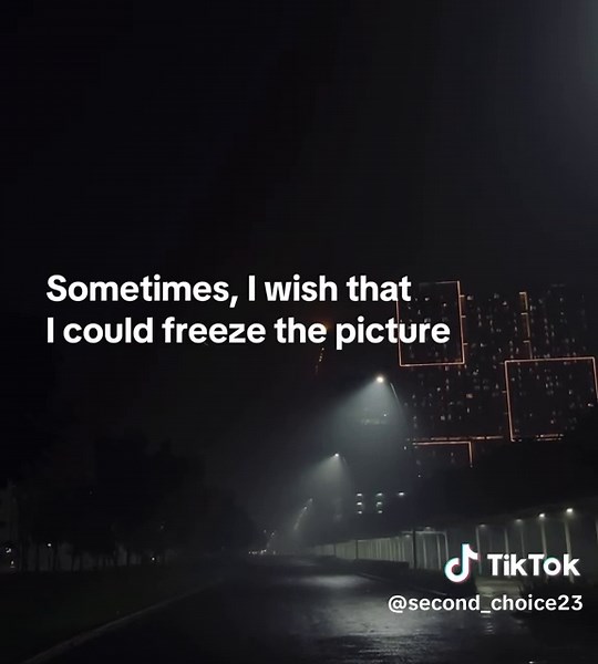 303 Protectant Review: Effective Cleaner and Protector