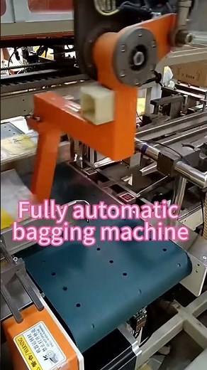 Bagging Machine for Boxes, Bottles & Pouches | Smooth Seal, High-Speed Automatic