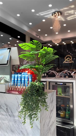 New year, new beginnings, and new beautiful nails. ✨Thank you for trusting AQ Nails Spa – Westshore this past year.We’re ready to pamper you even more in the year ahead 💅Happy New Year! 🥂 AQ Nails Spa – Westshore 💥Book your appointment today and get your nails vacation-ready! 📞: 813-450-1064 📍4146 W Boy Scout Blvd,Ste 1,Tampa, FL 33607. _________________________________ #nailsalons #aqnailswestshore #tampa