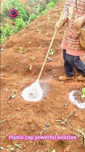 DIY Lime Spreader Using a Plastic Bottle Cap for Healthy Plants
