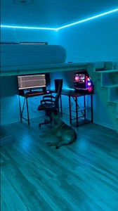 Loft Bedroom Build #diy