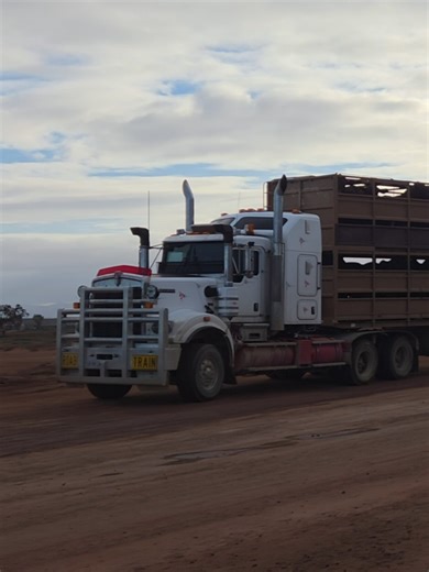 Exploring the Kenworth C509 Double Road Train