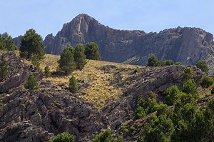 Gondwanide orogeny - Alchetron, The Free Social Encyclopedia