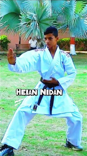 Heian Nidan Kata – Shotokan Karate Basic Kata 🥋 | Saif Karate Practice #shorts #karate