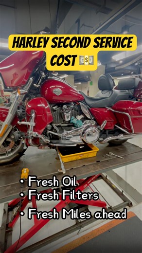 What Does a HD Second Service Cost? | Red Riding Hood Returns to Workshop #harleydavidson