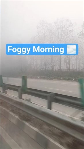 Foggy mornings, calm heart #dailyvlog #reellife foggyday #wintervibes
