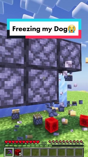 The Saddest Moment in Minecraft: Freezing my Dog Before I Quit