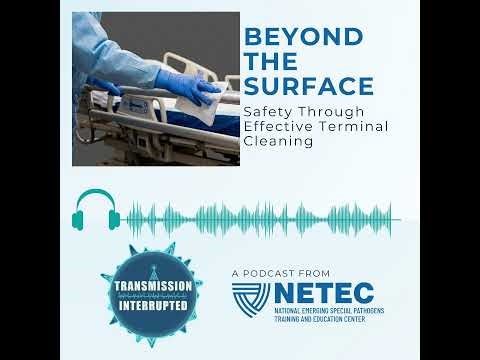 Beyond the Surface: Safety Through Effective Terminal Cleaning