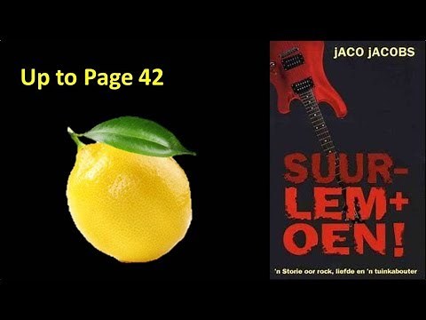 Suurlemoen Summary (up to page 42)