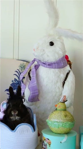 Tablescaping Magic for Sunday Brunch! ✨