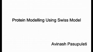 【同源建模】使用Swiss Model进行蛋白质建模
