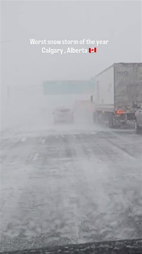 Shobhit Kumar on Instagram: "Surviving the first and the worst snow storm of Calgary!!! #canada🇨🇦 #trendingreels #reelsinstagram #calgary #alberta #trending Anybody experiencing??"