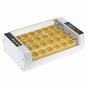 [Hot Item] 1 Year Warranty Hhd 24 Mini Chicken Egg Incubator Machine
