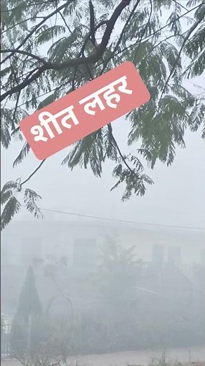 Foggy Mornings and cozy Vibes, Lost in fog #chilling weather #cold 🥶🥶