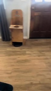 Apparently this is how dogs with the condition ‘Mega-esophagus’ have to eat their meals. It’s meant to help them swallow easier and avoid regurgitation. | 𓂀 Into The Chasm 𓂀