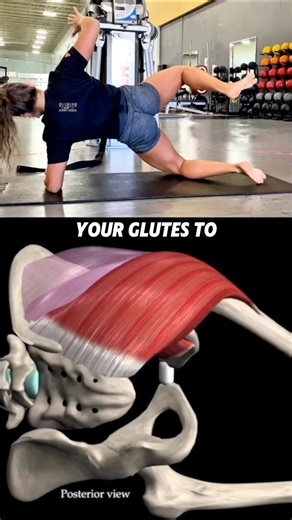 The DNS star - give it a try. Have fun 😉 . Shout out @muscleandmotion for the anatomy graphics, opening star patten by Coach Jaimie / YT & patient: @theamericanpanda. | Squat University