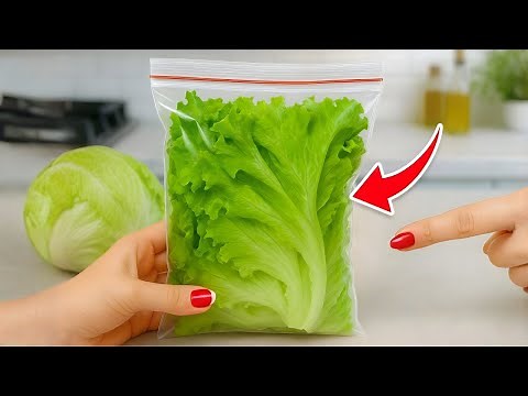 Stop Wasting Lettuce! How to Keep It Fresh, Crisp, and Green for Weeks | Tracy Tips