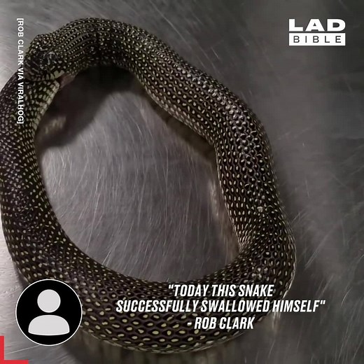 4.2M views · 35K reactions | Some serious misnakes were made  | LADbible | Facebook