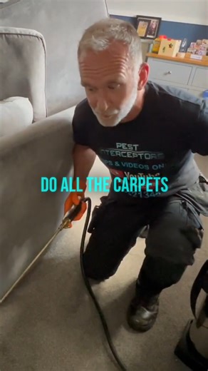 4K views | Comprehensive flea treatment for furniture and carpets #pestcontrol | Pest Interceptors | Facebook