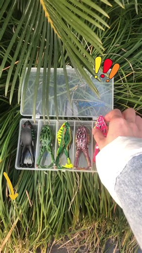 Check out these frogs or keep using your boring lure? Your call#TopwaterFrogs #BassFishing#fishing#lure#fyp