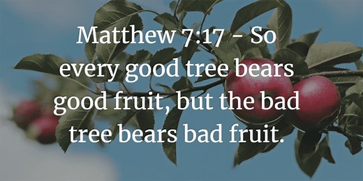 James Chapter 2:14-26 Inductive Bible Study and Questions