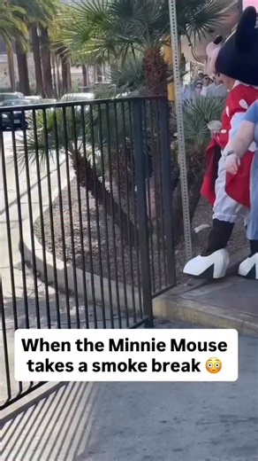 The magic slipped for a second at Disneyland. A costumed character was caught on a smoke break with the mascot head propped on top of their real head, giving people a rare behind-the-scenes look that visitors don’t usually see. For a place built on fantasy, moments like this remind people that there are real workers inside the costumes, dealing with heat, long hours, and quick breaks just like anyone else. It’s funny, unexpected, and oddly human — a reminder that even the most magical places run