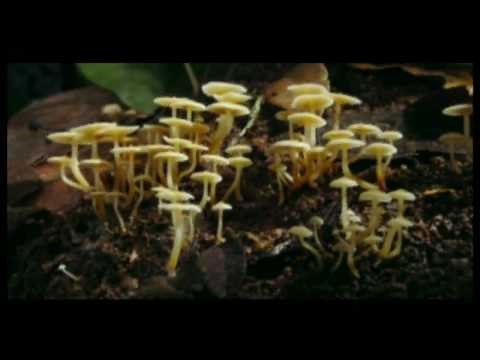 We Are All One - An Inspiring Short Film To Watch