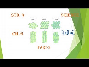 Std 9 Science Ch 6 Part 3 by I.S.PATEL