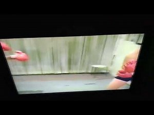 Pam vs. Lisa Boxing - Body Shot & Standing 8 Count