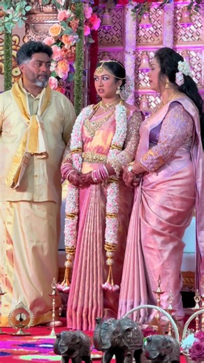 Shivi Collections (@shivi.collections)’s videos with original sound - MD Edit z official