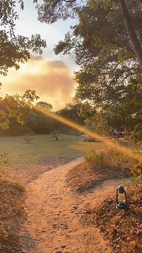 Have you been to Fig Tree Bush Camp? Nestled on the Shishamba lagoon in a remote area of Kafue National Park, this unique little bush camp is filled with character, Latern lit pathways, a private beach, tree house tents, open plains and an infinity pool. Relax into nature in this idyllic location. #mukambisafaris #figtreebushcamp#uniquebynature #kafuenationalpark #discoverzambia | Mukambi Safaris