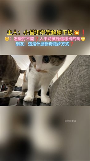 主人：我的貓學我解鎖平板💥❗ 🐱：我滑…使勁！我給你抓爛💢 網友：癮也太大了🤣 #cat #cute #funny #funnyshorts #cutecat