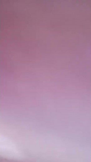 DreamWorks Animation SKG Nickelodeon Light Bulb (2010)