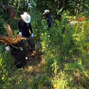 They Never Came Back After the Fire… We Can't Believe What Was Left Behind. Part 1 | Lawn Care Services