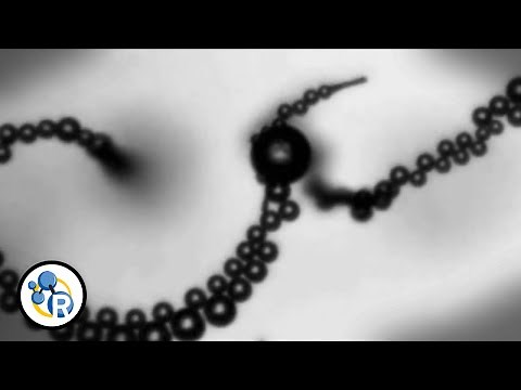 The World's Smallest Robots: Rise of the Nanomachines