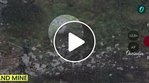 Wild Hog Sets Off Land Mine Before Russian Troops as Unverified Reports Cite New Frontline Advances - NewsBreak