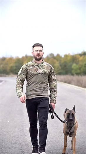 Belgian Malinois: Energetic Working Dog Breed