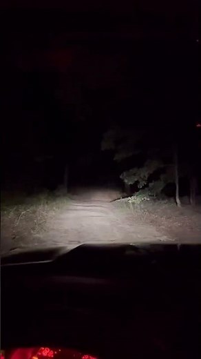 Upgrade Your Toyota 4Runner’s Headlights to LED! ✨