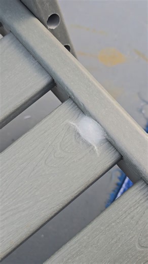 What in the cocoon is this? #cocoon #spider #whatisit | Misti Gibson