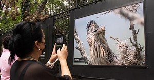 Anuncian Cartelera Digital para mostrar la oferta cultural de la CDMX