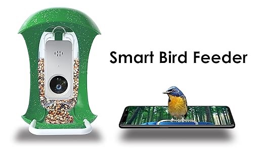 How to install a smart bird feeder 