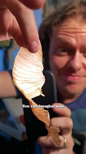 Animators love ONIONS #art #shorts