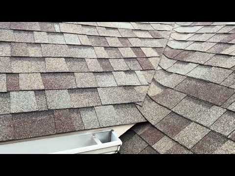 Why Are Rats Getting In My Attic In McKinney TX - Knock Em Dead Pest Control