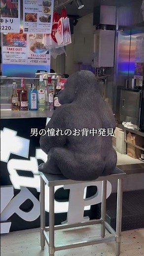 最新スポット“ハラカド”全フロア公開 #ハラカド #東京グルメ #東京観光 #東京旅行 #原宿 #原宿グルメ #東京カフェ #表参道 #東京デート #東京スポット