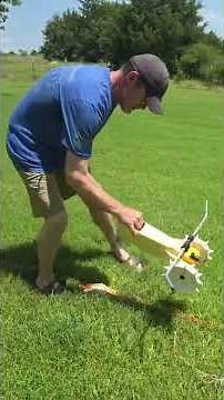 How to Get the Perfect Lawn Fast #nelson #sprinkler #lawncare #amazonfinds #garden #review
