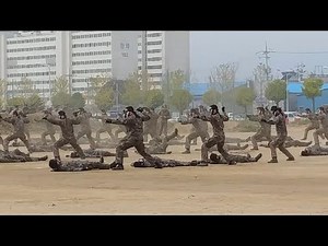 17-09-24 육군 2군단 702특공연대 특공무술 시범