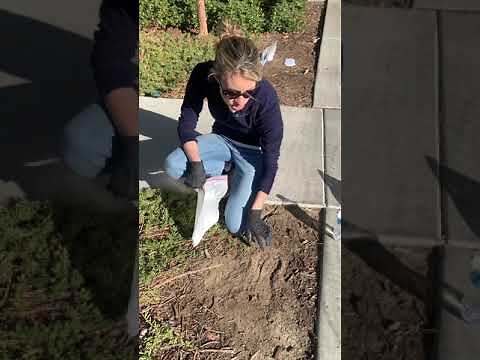 How to cast a shoe impression