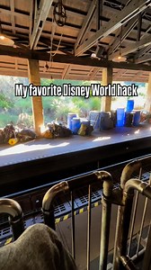 113K views · 277 reactions | This $10 Disney World hack could save...